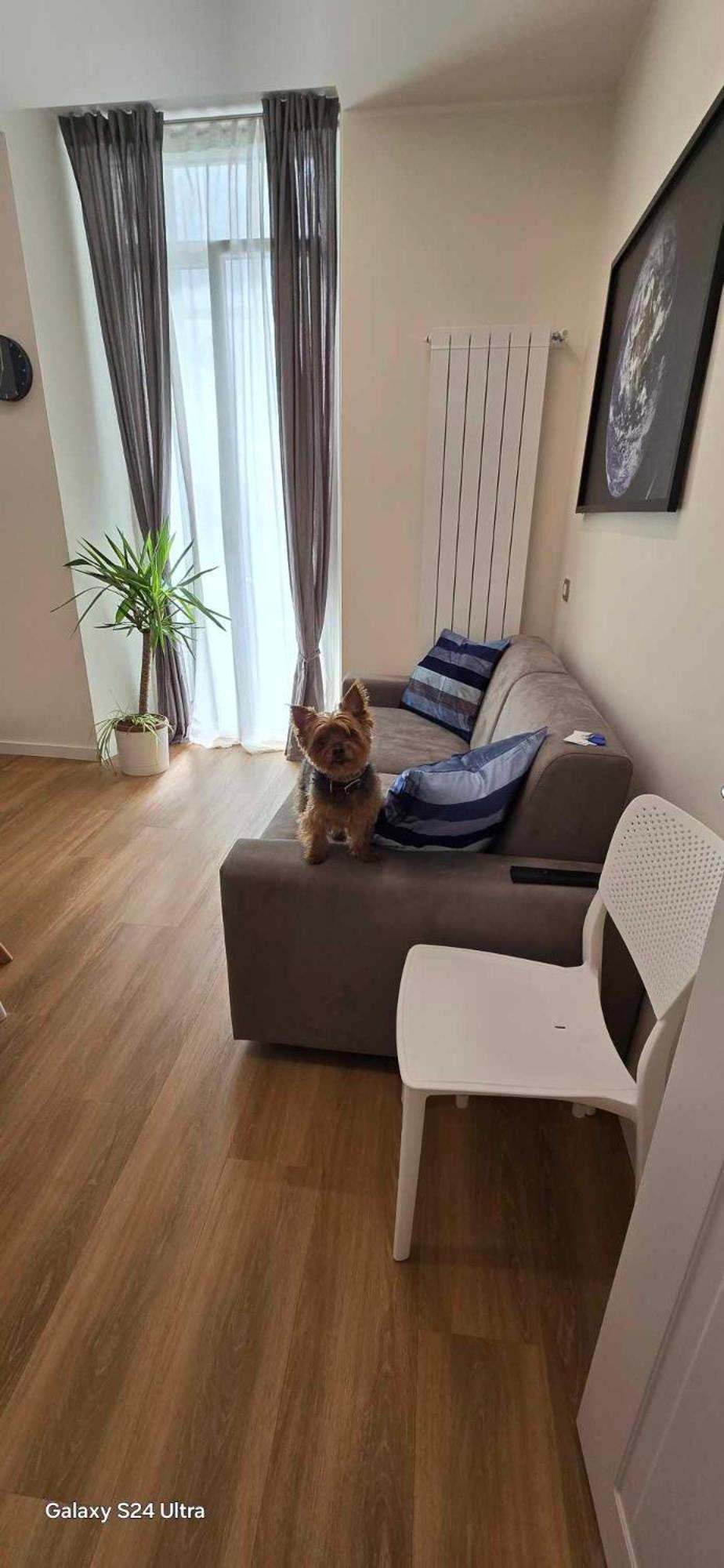 The Dream Apartment 100 M Dal Mare Savone Extérieur photo